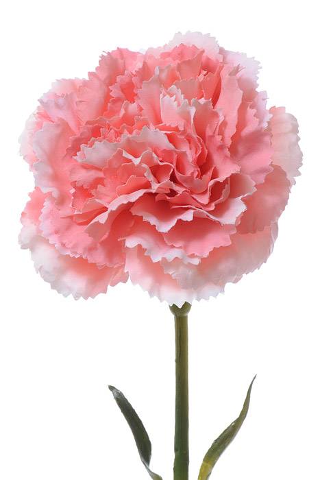 21.5" Silk Carnation Spray Coral - Image 2