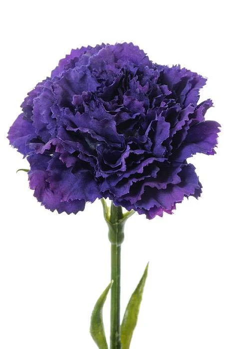 21.5" Silk Carnation Spray Plum - Image 2