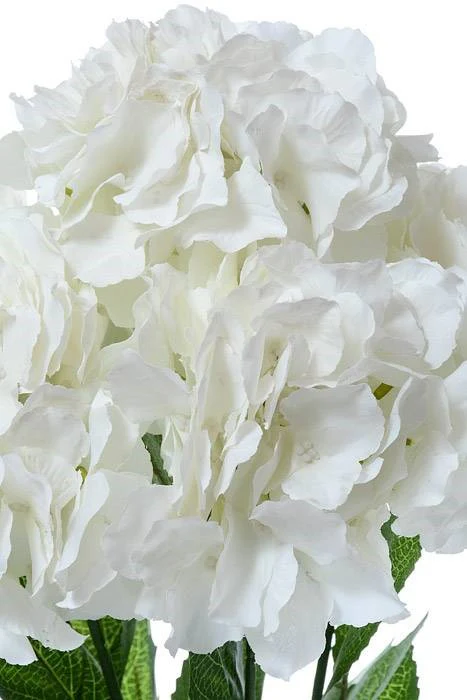 21.5" Silk Hydrangea Bush Ivory - Image 2