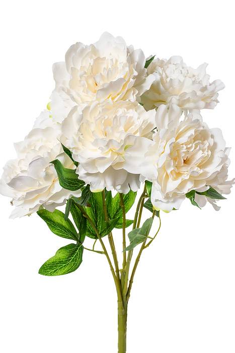 21.5" Silk Peony Bush White/Cream