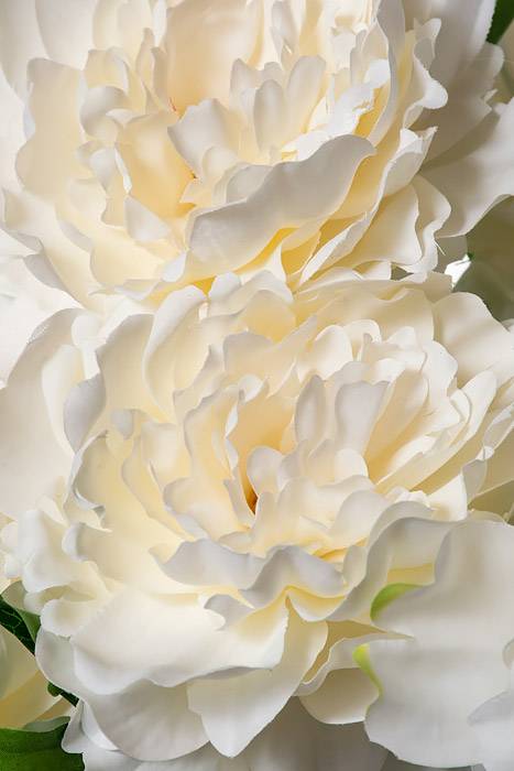 21.5" Silk Peony Bush White/Cream - Image 2