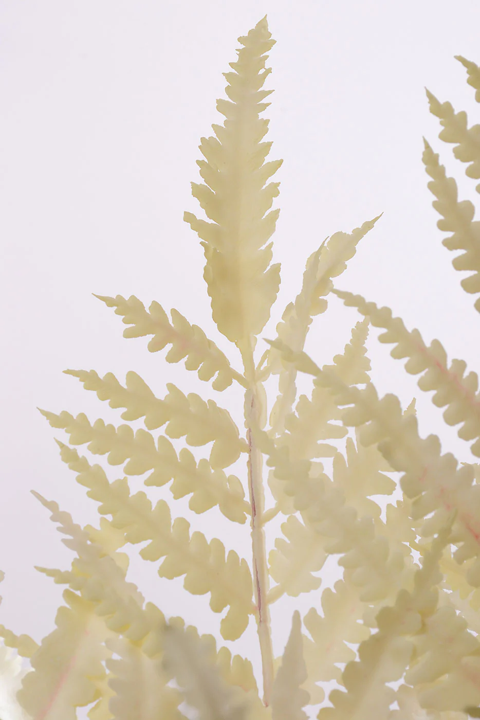 21" Fern Bush Cream - Image 2