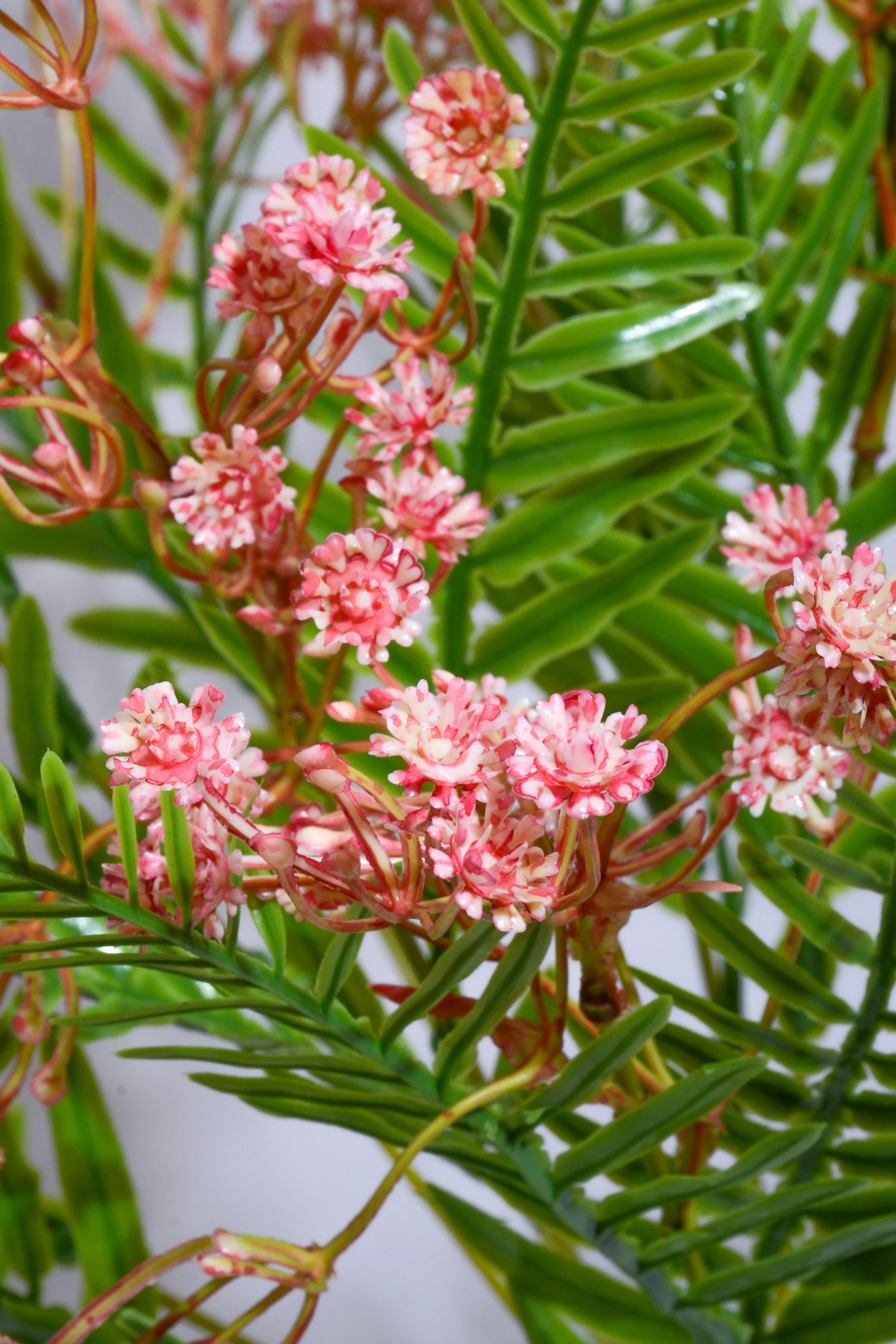 21" Plastic Gypso Fern Bush Pink - Image 2