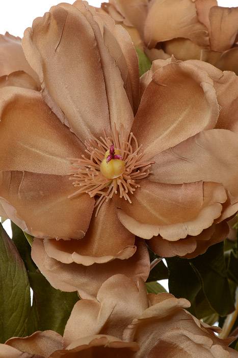 21" Silk Magnolia Bush Light Brown - Image 2