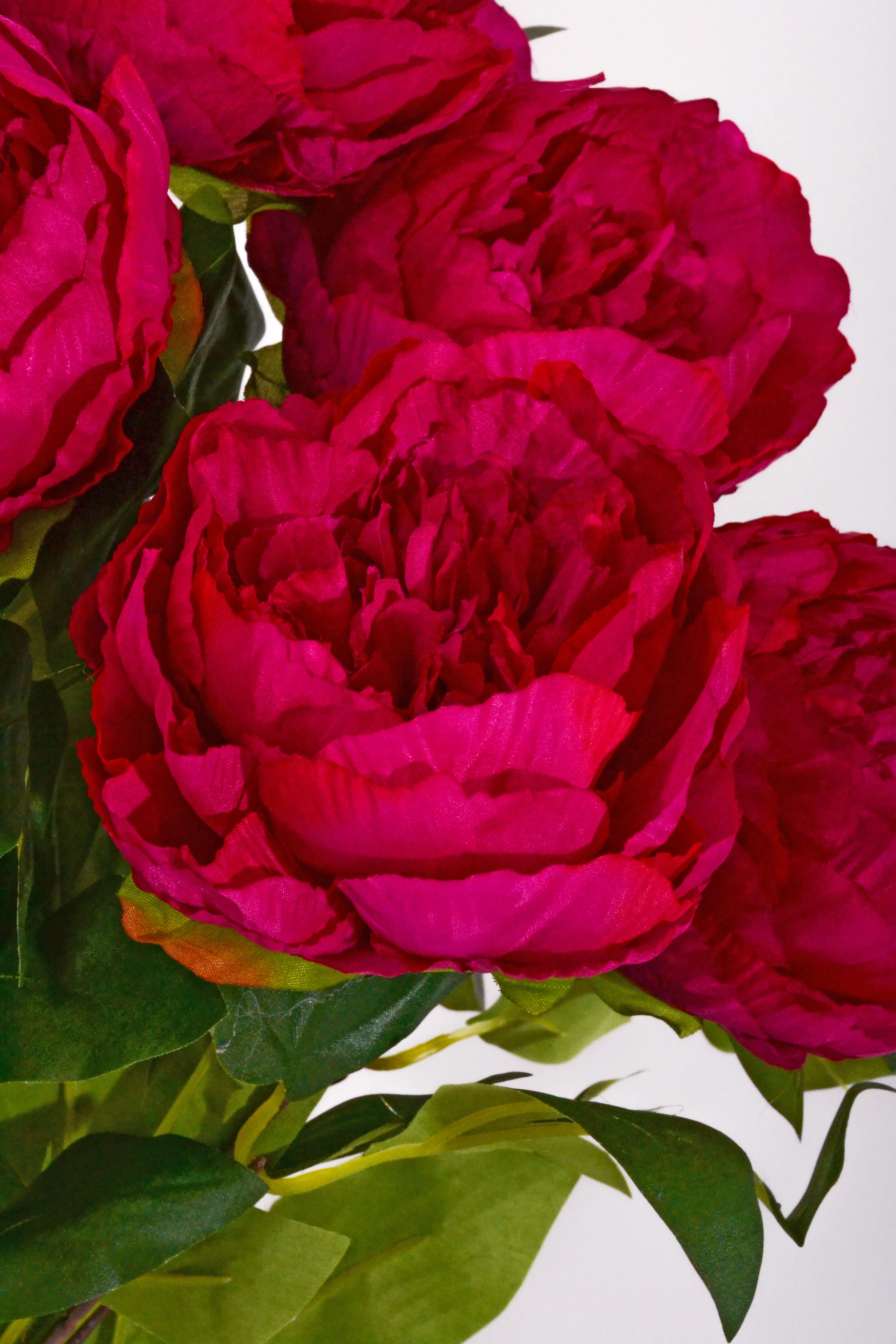 21" Silk Peony Bush Fuchsia - Image 2