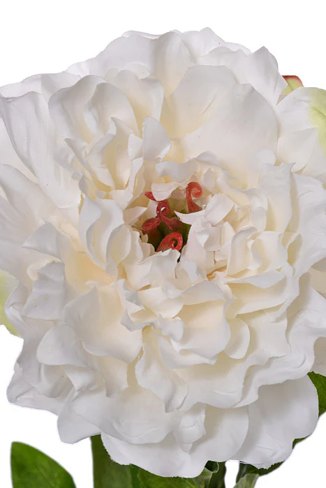21" Silk Peony Spray Ivory - Image 2