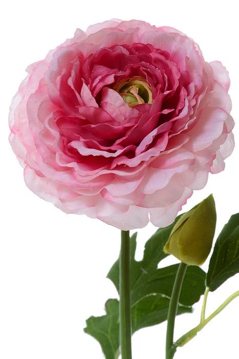 21" Silk Ranunculus Spray Cerise/pink - Image 2
