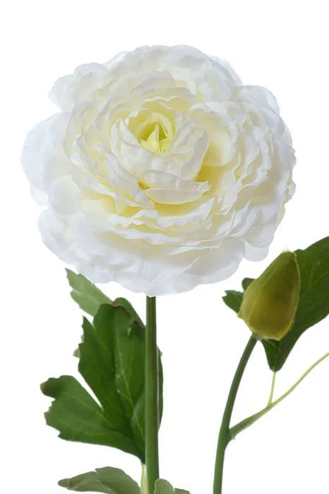 21" Silk Ranunculus Spray Cream - Image 2