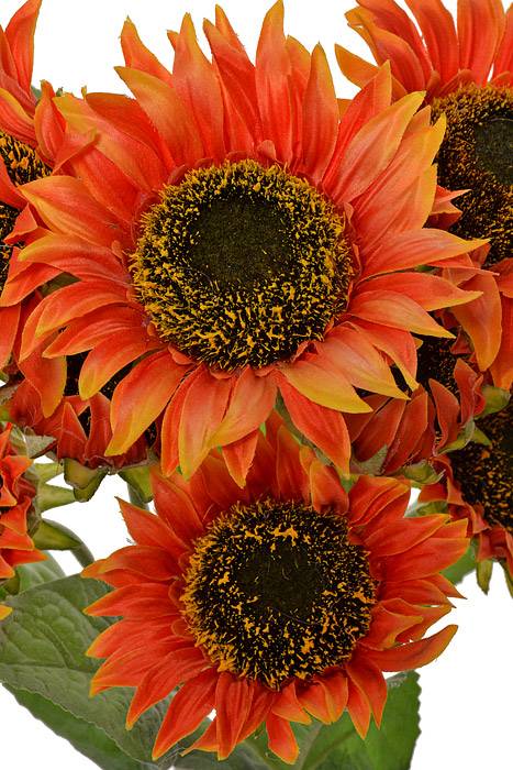 21" Silk Sunflower Bush Orange - Image 2
