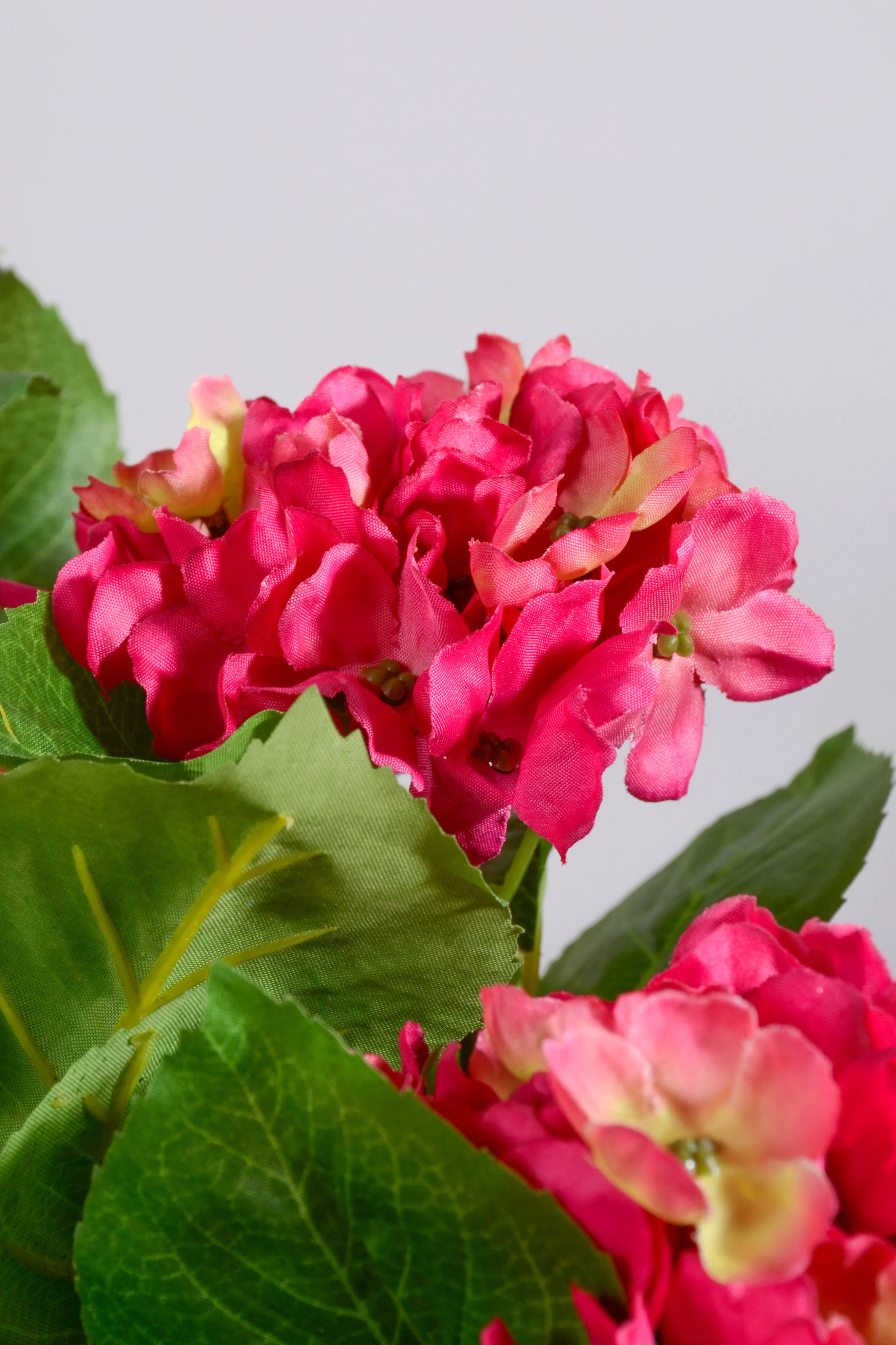 21" Uv Silk Hanging Hydrangea Plant Hot Pink - Image 2