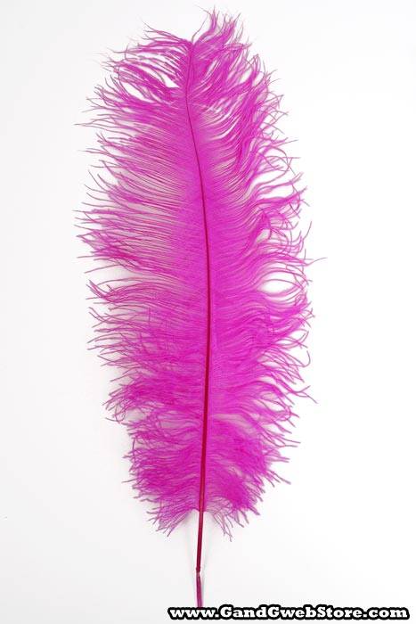 22"-26" Ostrich Feather Hot Pink Pkg/6 - Image 2