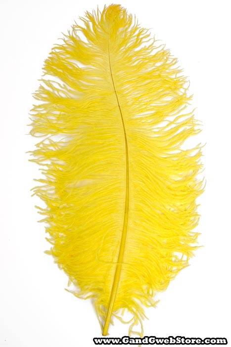 22"-26" Ostrich Feather Yellow Pkg/6 - Image 2