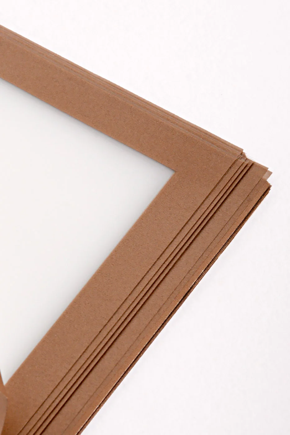 22.5" Champagne Edge Flower Wrap Anti Mauve/White Pkg/20 - Image 3