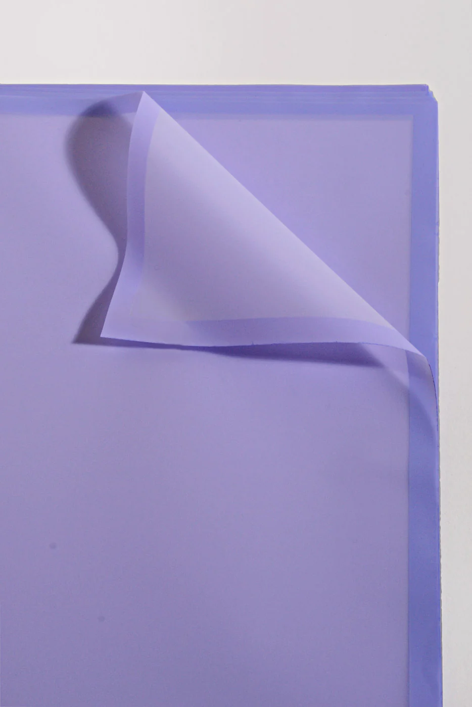 22.5" Flower Wrapping Paper W/Edge Light Lavender Pkg/20