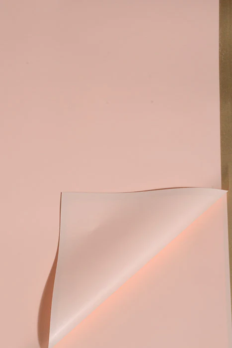 22.5" Gold Edge Flower Wrap Paper Peach Pkg/20