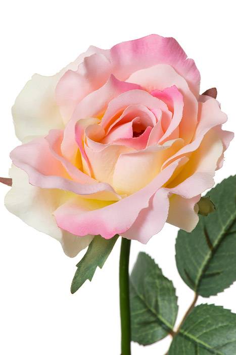 22.5" Silk Medium Rose Spray  Pink - Image 2