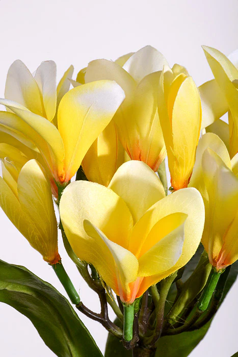 22" Artificial Plumeria Spray Yellow Two-Tone - Image 2
