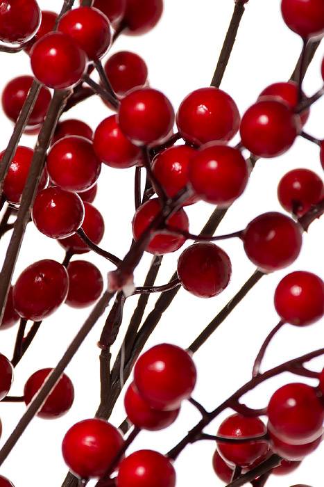 22" Berry Bush (Red) - Image 2