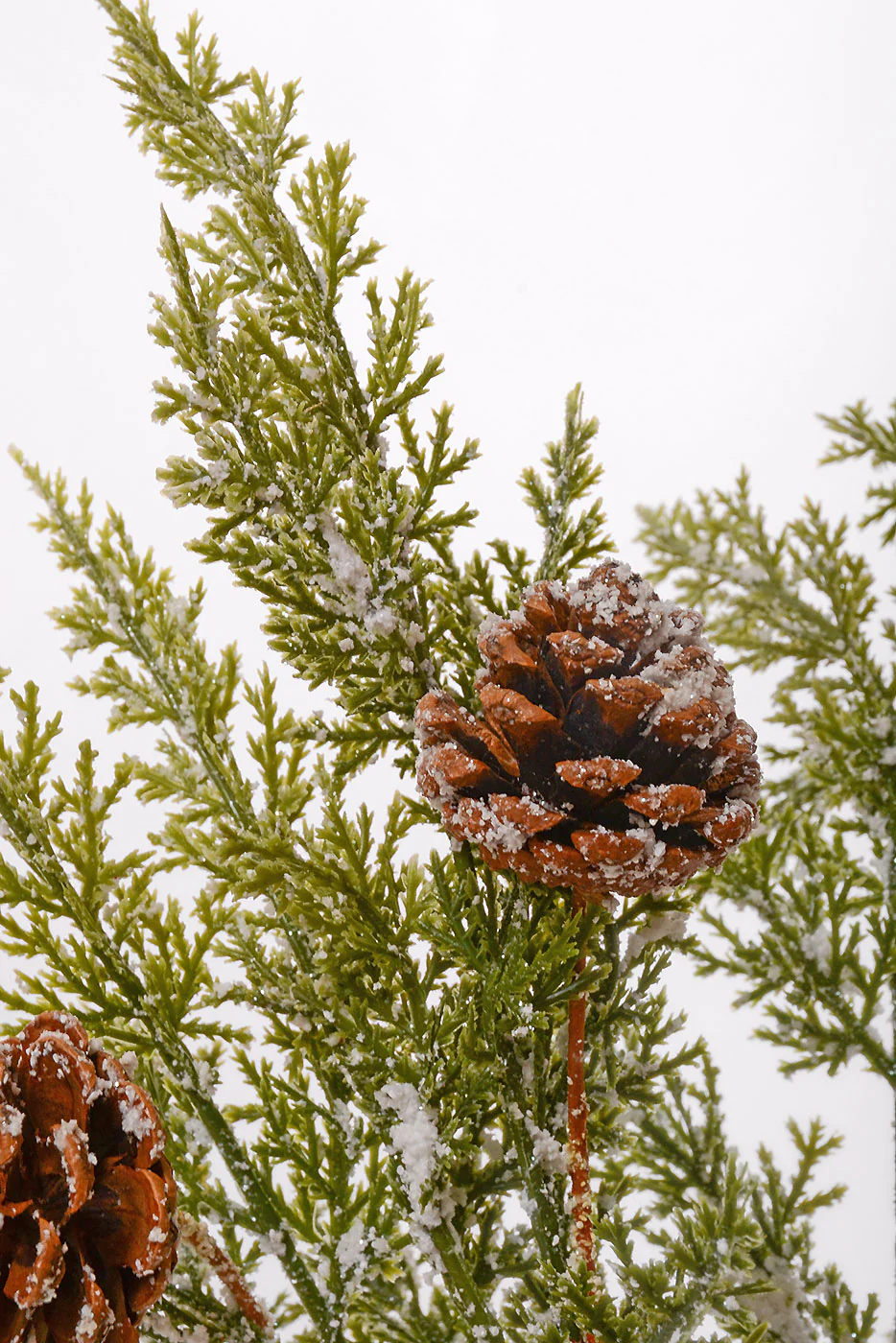 22'' Cedar Pine Cone With Ice Bush White/Green - Image 2