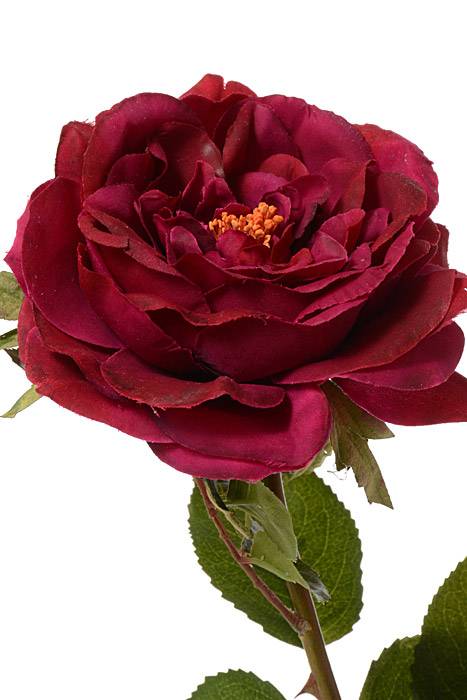 22" English Rose Spray Wine - Image 2