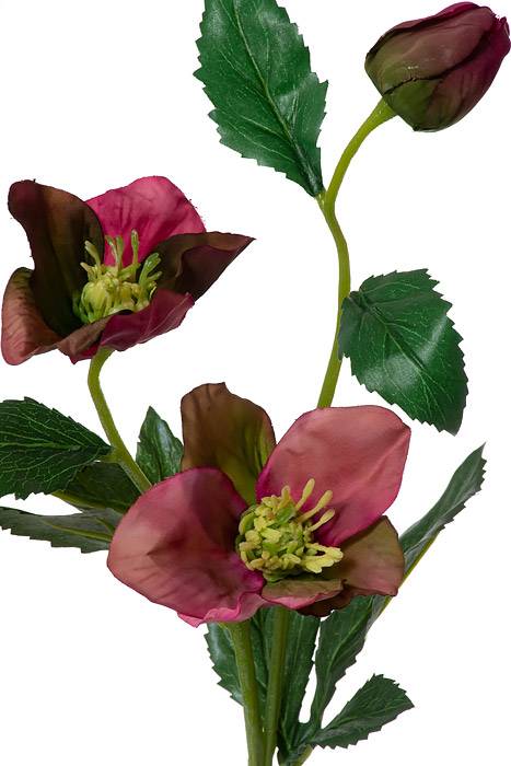 22" Silk Helleborus Spray Orchid Purple - Image 2