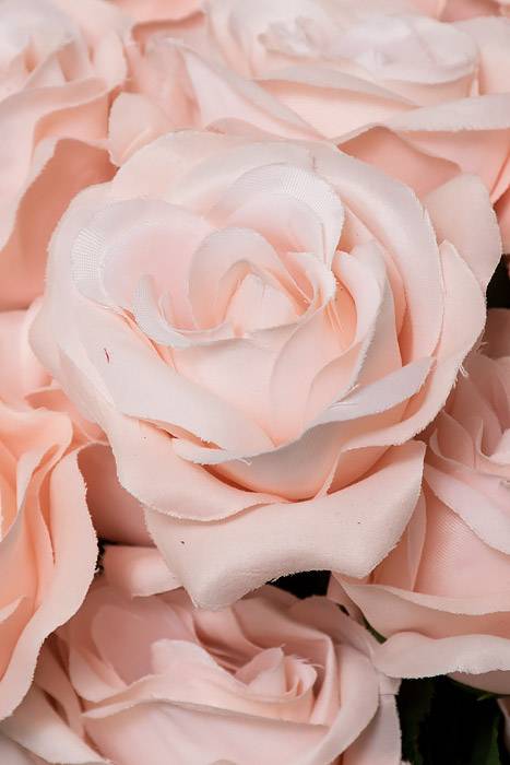22" Silk Micro Peach Rose Bush Blush Pink - Image 2