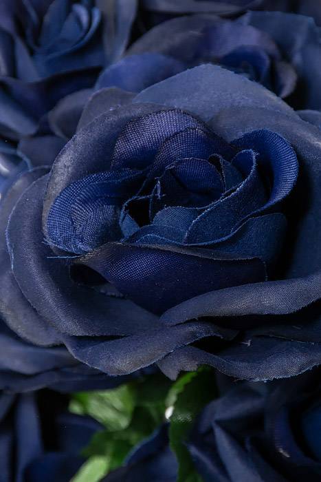 22" Silk Mirco Peach Rose Bush X18 Royal Blue - Image 2