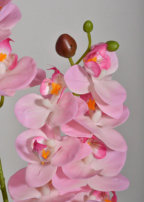 22" Silk Phalaenopsis Pink - Image 2