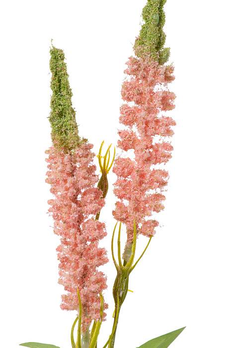 23.5" Astilbe Spray Pink - Image 2