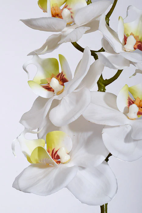 23.5" Real Touch Phalaenopsis Spray White - Image 2