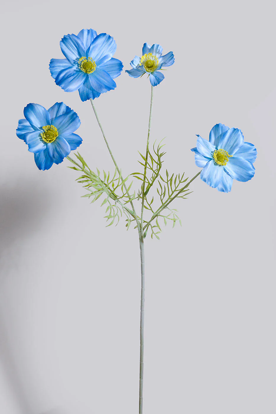 23.5" Silk Cosmos Spray Blue