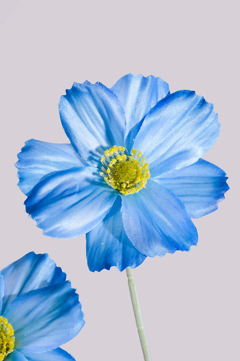 23.5" Silk Cosmos Spray Blue - Image 2