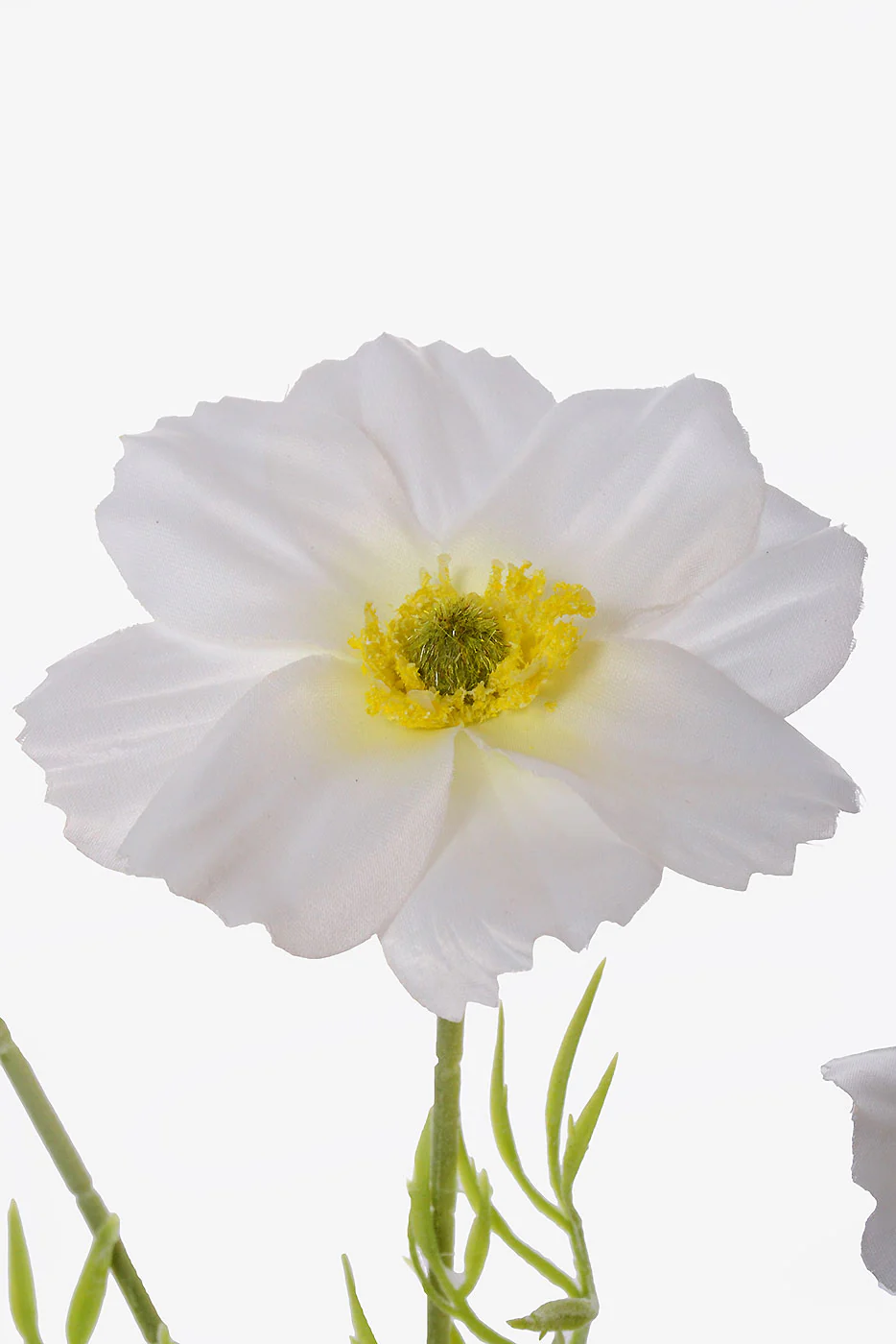 23.5" Silk Cosmos Spray White - Image 2