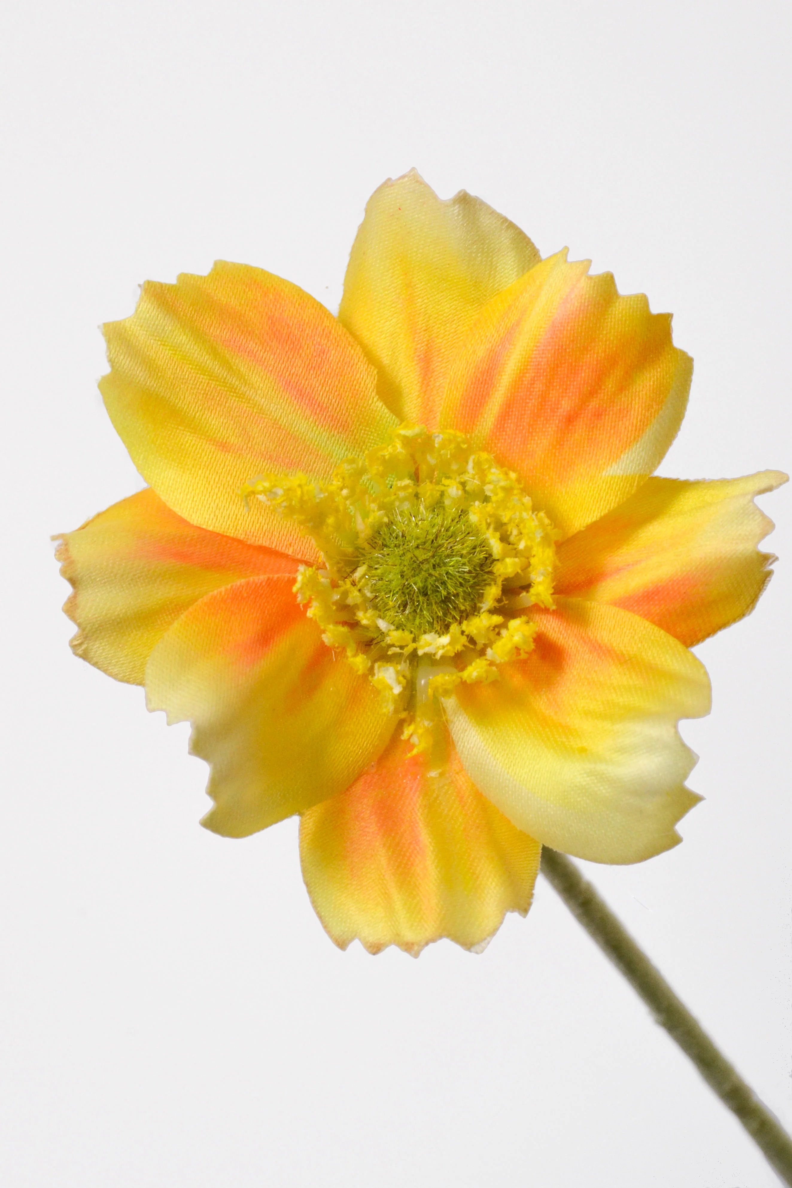 23.5" Silk Cosmos Spray Yellow - Image 2