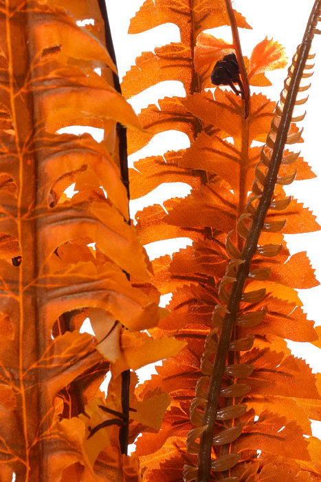 23.75" Fern Bush (Orange) - Image 2