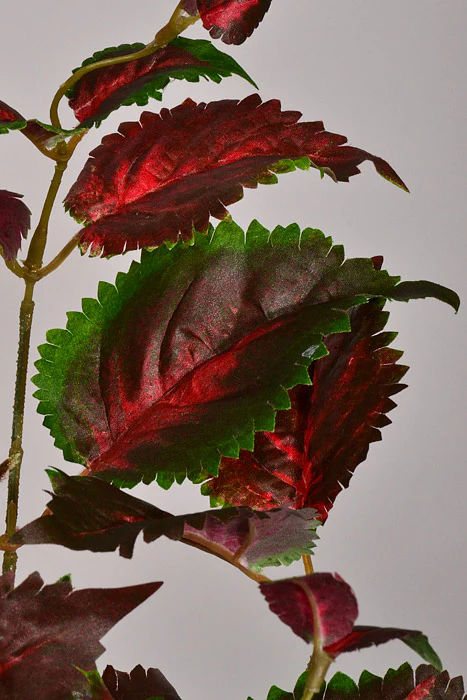 23" Artificial Protected Coleus Hanging Bush Burgundy/Green - Image 2