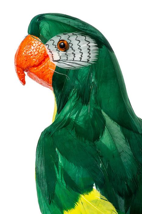 23" Feather Standing  Macau Green/Yellow - Image 2