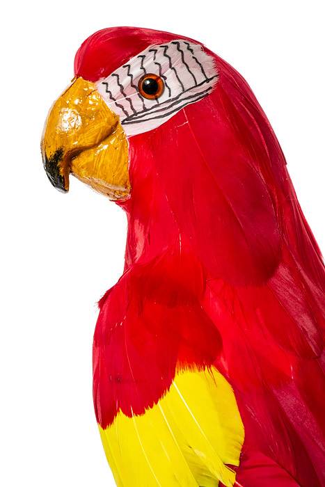23" Feather Standing  Macau Red - Image 2