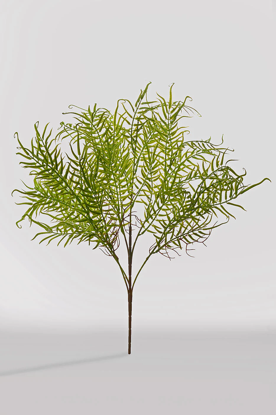 23'' Fern Bush Green