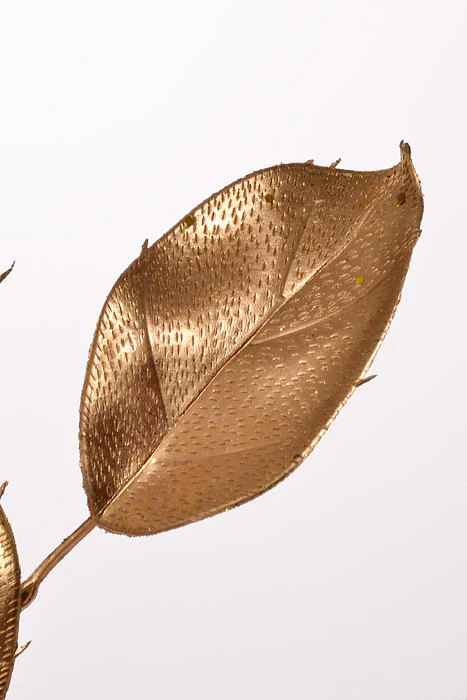 23" Glitter Ficus Leaf Spray Gold Pkg/6 - Image 2