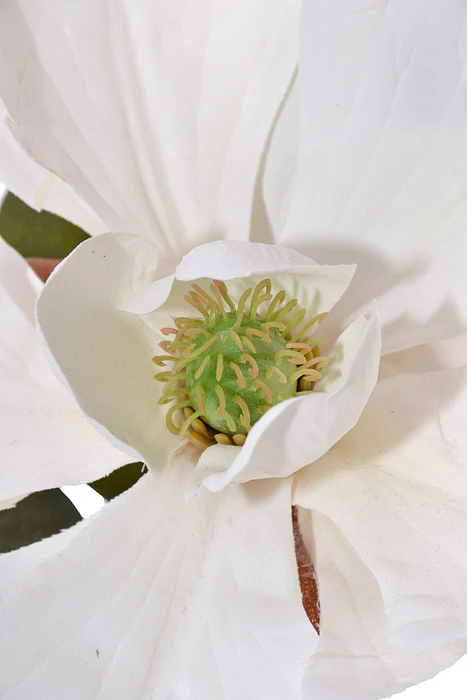 23" Silk Magnolia Spray White - Image 2