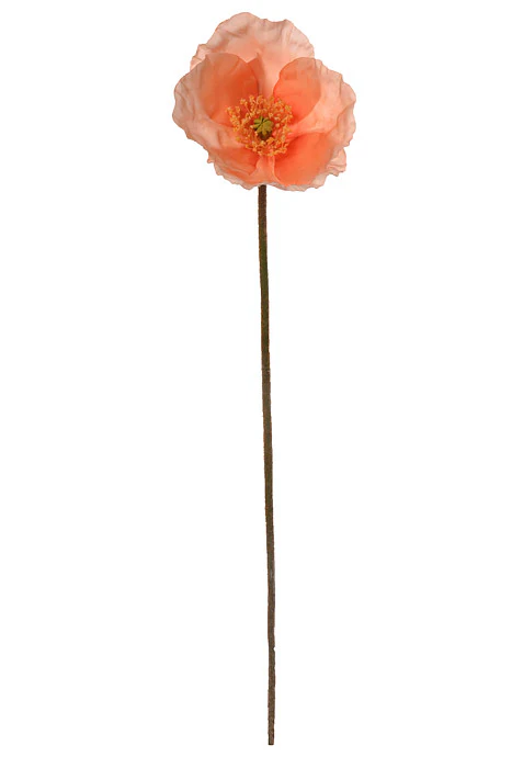 23" Silk Poppy Spray Peach/Cream Pkg/6 - Image 4