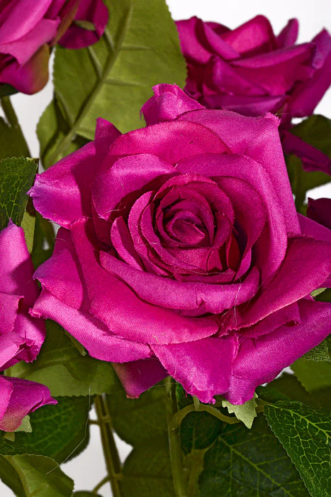 23" Silk Rose Bush Fuchsia - Image 2