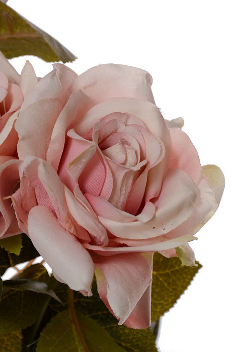 23" Silk Rose Bush Pink - Image 2