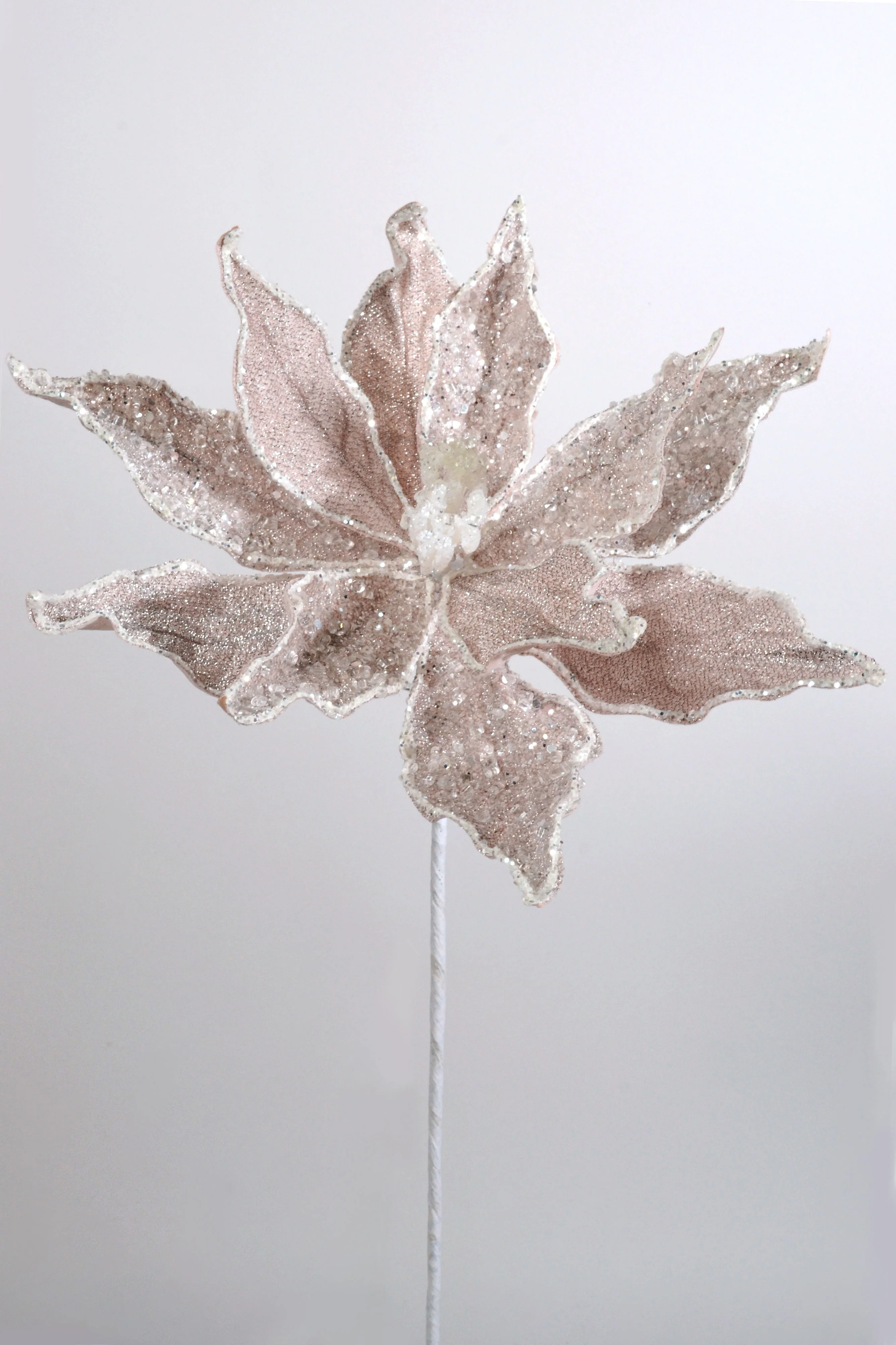 23" Sugared Dessert Poinsettia Stem Blush Pink