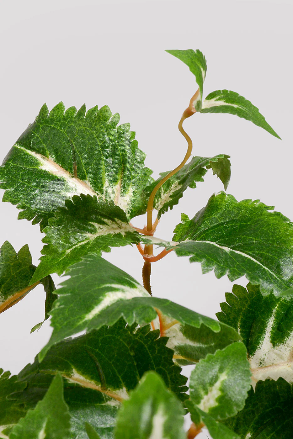 23" UV Artificial Protected Coleus Hanging Bush Green/Cream - Image 2