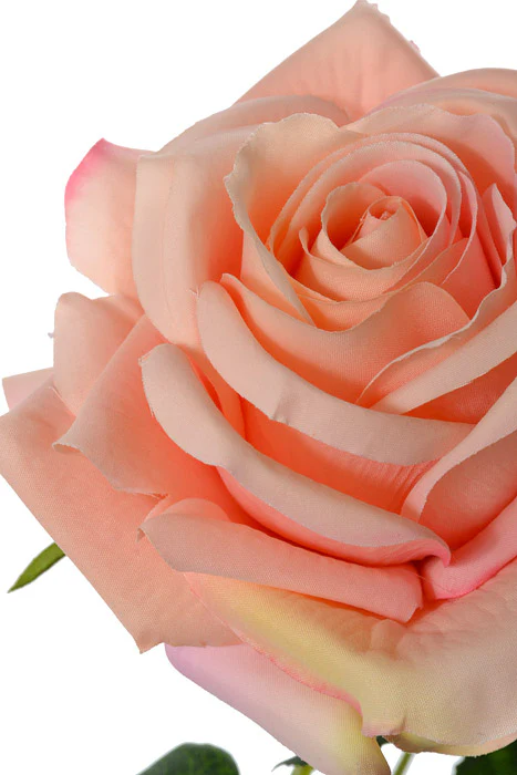 24.5" Silk Rose Spray Peach - Image 2