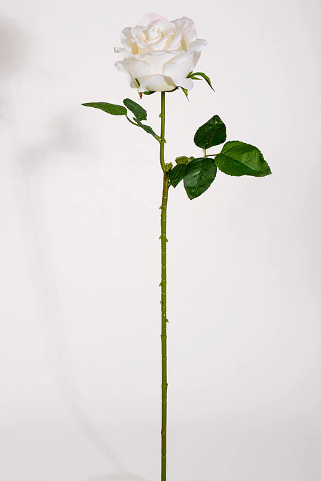 24.5" Silk Rose Spray White
