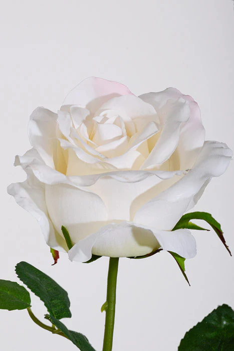 24.5" Silk Rose Spray White - Image 2