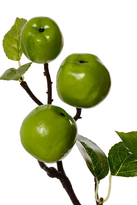 24" Apple Spray With Leaves Green - Image 2